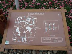 -金沙遗址博物馆