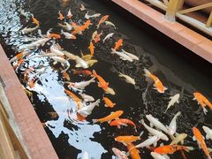 -侠成水上农庄(工业大道店)