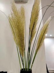 -YESIDO椰岛造型烫发染发