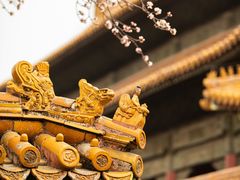 -故宫博物院(故宫)