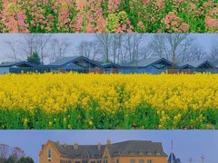 -中国天府农业博览园