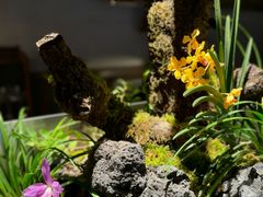 -曲廊院(东四十一条店)