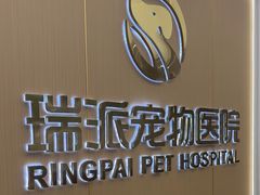 -瑞派康怡24h宠物医院·犬猫医疗中心·微创绝育(瑞景分院)