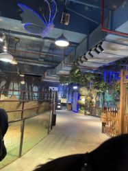 -酷嗒动物文化乐园(cutezoo西溪乐天城店)