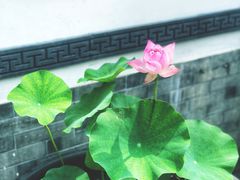 -前门张记涮肉(前门店)