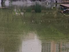 -静安公园(静安寺街道)
