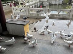 -重元寺香积厨素斋馆