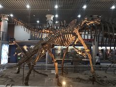 -国家自然博物馆