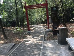 -大屏嶂森林公园