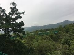 -陶祖圣境风景区