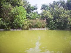 -洛阳市隋唐城遗址植物园