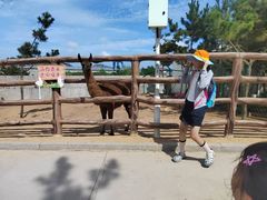 -西霞口神雕山野生动物世界