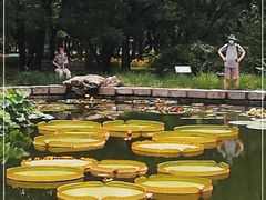 -国家植物园南园