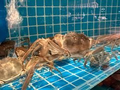 -视界美食自助餐厅·石家庄希尔顿酒店