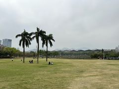 -紫马岭公园