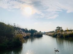 -白鹭湾湿地公园