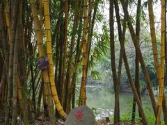 -广西壮族自治区药用植物园