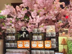 -小吊梨汤·北京菜·烤鸭(西直门凯德店)