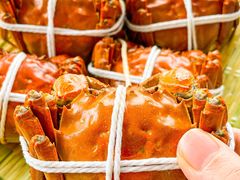 -蟹天蟹地农家菜·阳澄湖大闸蟹(浅水湾店)