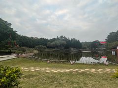 -三水森林公园