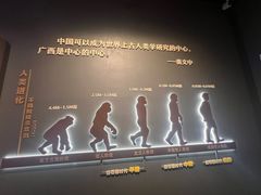 -广西壮族自治区博物馆