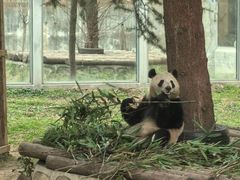 -西安秦岭野生动物园