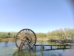 -合肥滨湖国家森林公园