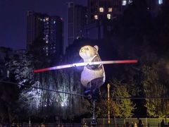 -成都市活水公园