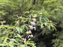 -龙门涧景区