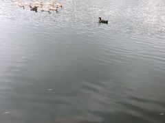 -上海怡沁园度假酒店
