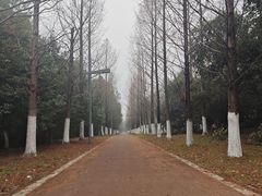 -武汉园博园(武汉自然博物馆)
