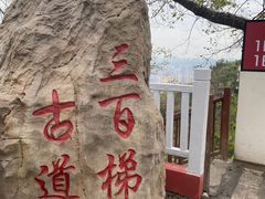 -林中乐辣子鸡(歌乐山总店)