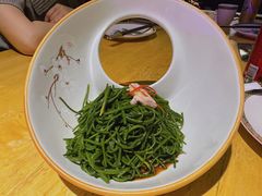-蒙料·手把肉(望京店)