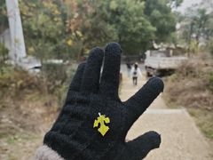 -青龙山国家森林公园