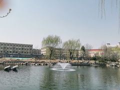 -桃花堤公园