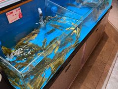 -鼎原力量东北吊炉烧烤(幸福街店)