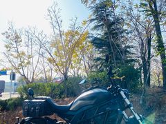 -清水洞汤泉(嘉陵江西路店)