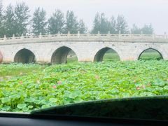 -清西陵