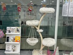 -爱洗澡的猫(天河路店)