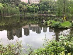 -重庆彩云湖湿地公园