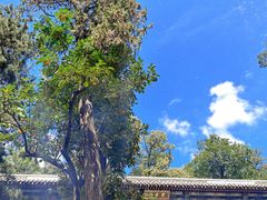-潭柘寺景区