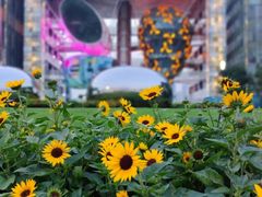 -北外滩滨江绿地