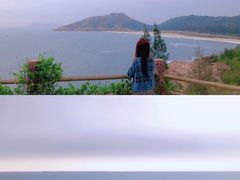 -广东惠东海龟国家级自然保护区