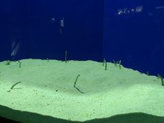 -上海海洋水族馆