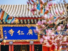 -西安市广仁寺
