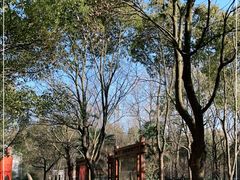-东平国家森林公园