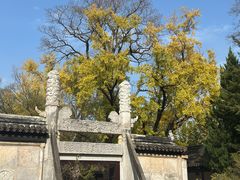 -苏州文庙(姑苏区)