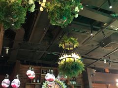 大堂-享润四季椰子鸡音乐主题餐厅(晋江万达店)
