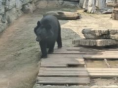 -黔灵山公园
