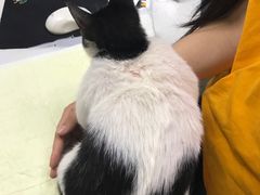 -联合动物医院(光谷诊疗中心)
